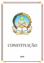 CONSTITUICAO RA.pdf